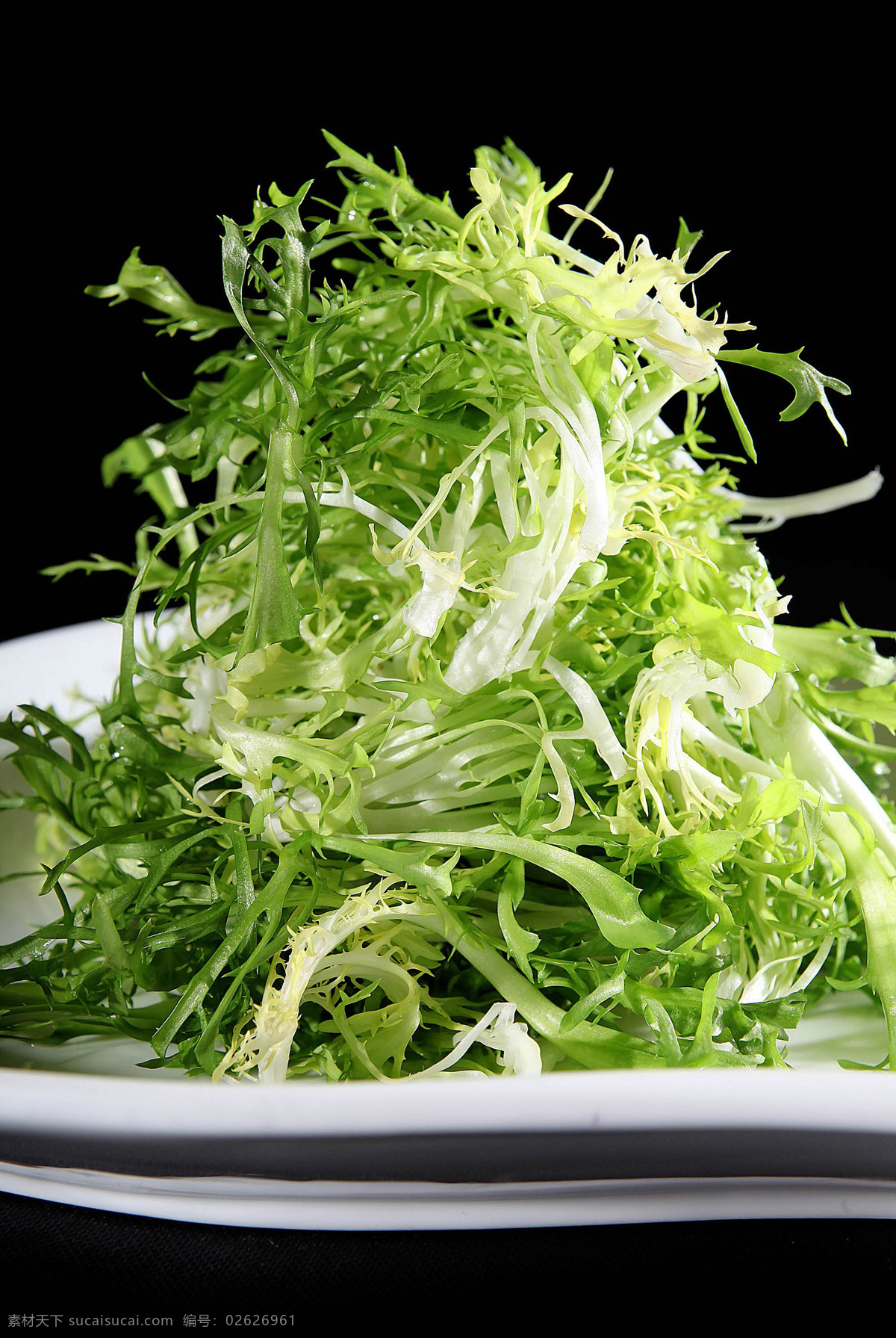 凉拌苦菊 苦菊 凉菜 前菜 美食 生拌苦菊 餐饮美食 花生酱 凉拌菜 拌苦菊 狗牙生菜 九芽生菜 苦荬菜 菜品图 传统美食