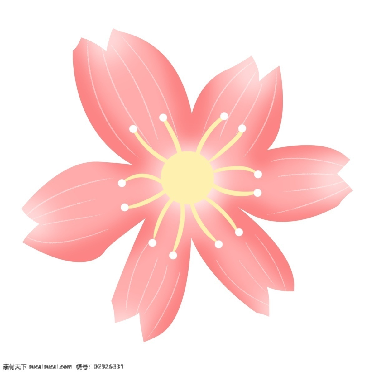 樱花 粉色 花 桃花 红色 粉红色 鲜花 花朵 植物 花瓣 樱花节 插画樱花 单朵樱花 浪漫