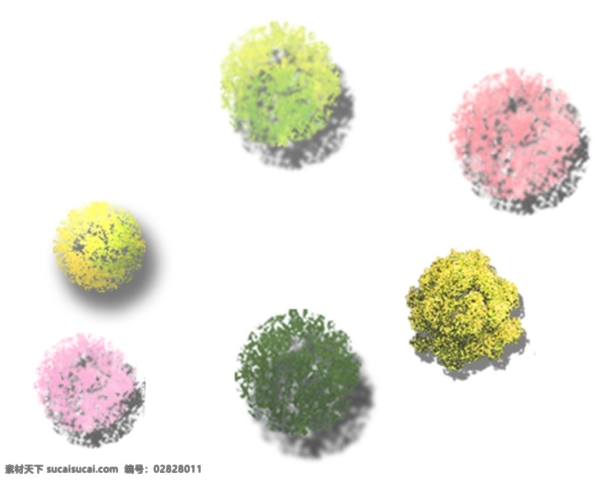 植物平面素材 平面 彩平 植物 漂亮 自然景观 建筑园林