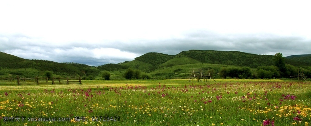云南 香格里拉 山水风光 花海 草原 自然景观 山水风景