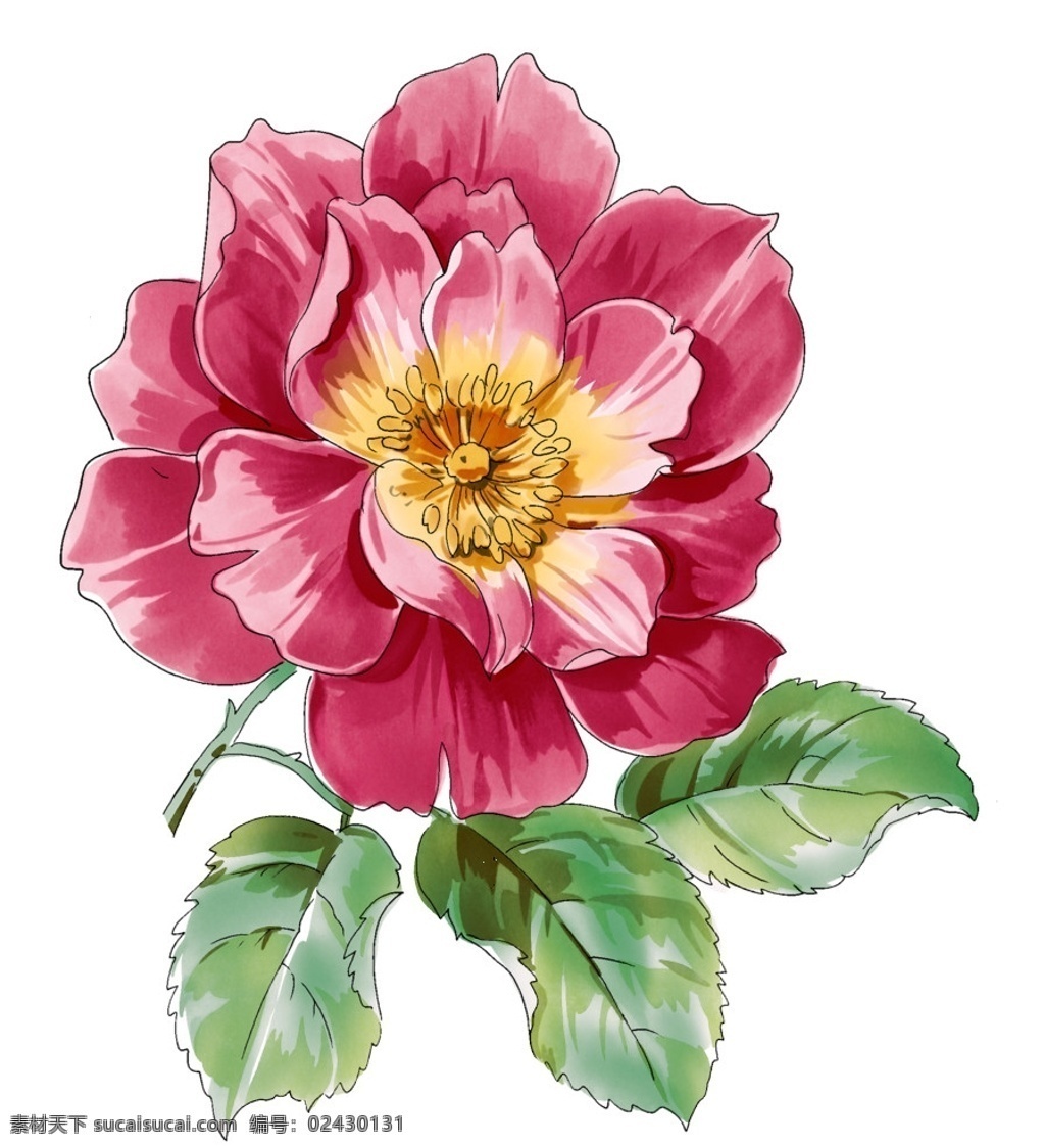 花 红花 鲜艳的花 分层 源文件