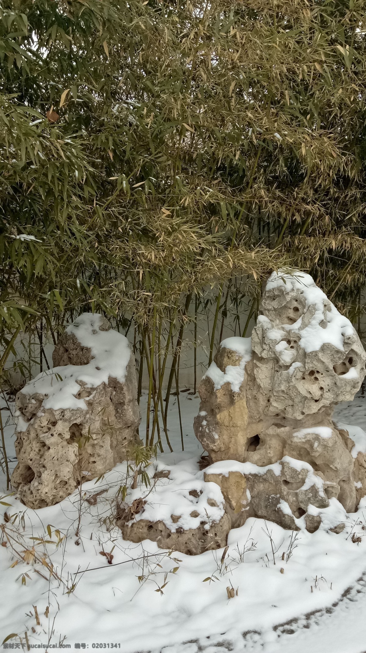 怪石 石头 坏石 雪 雪景 冬天 下雪 竹子 竹林 竹林雪景 假山 大美图片 旅游摄影 自然风景