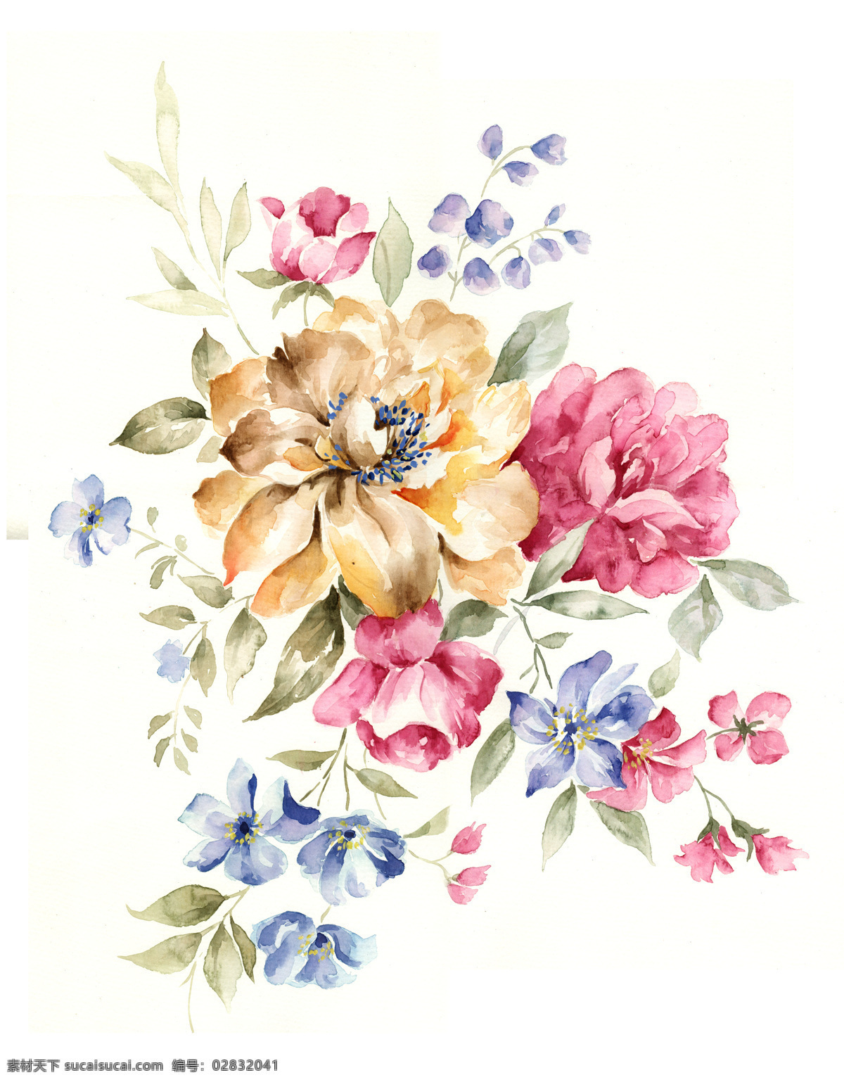 水彩花卉 水彩 手绘 花朵 牡丹 月季 文化艺术 绘画书法