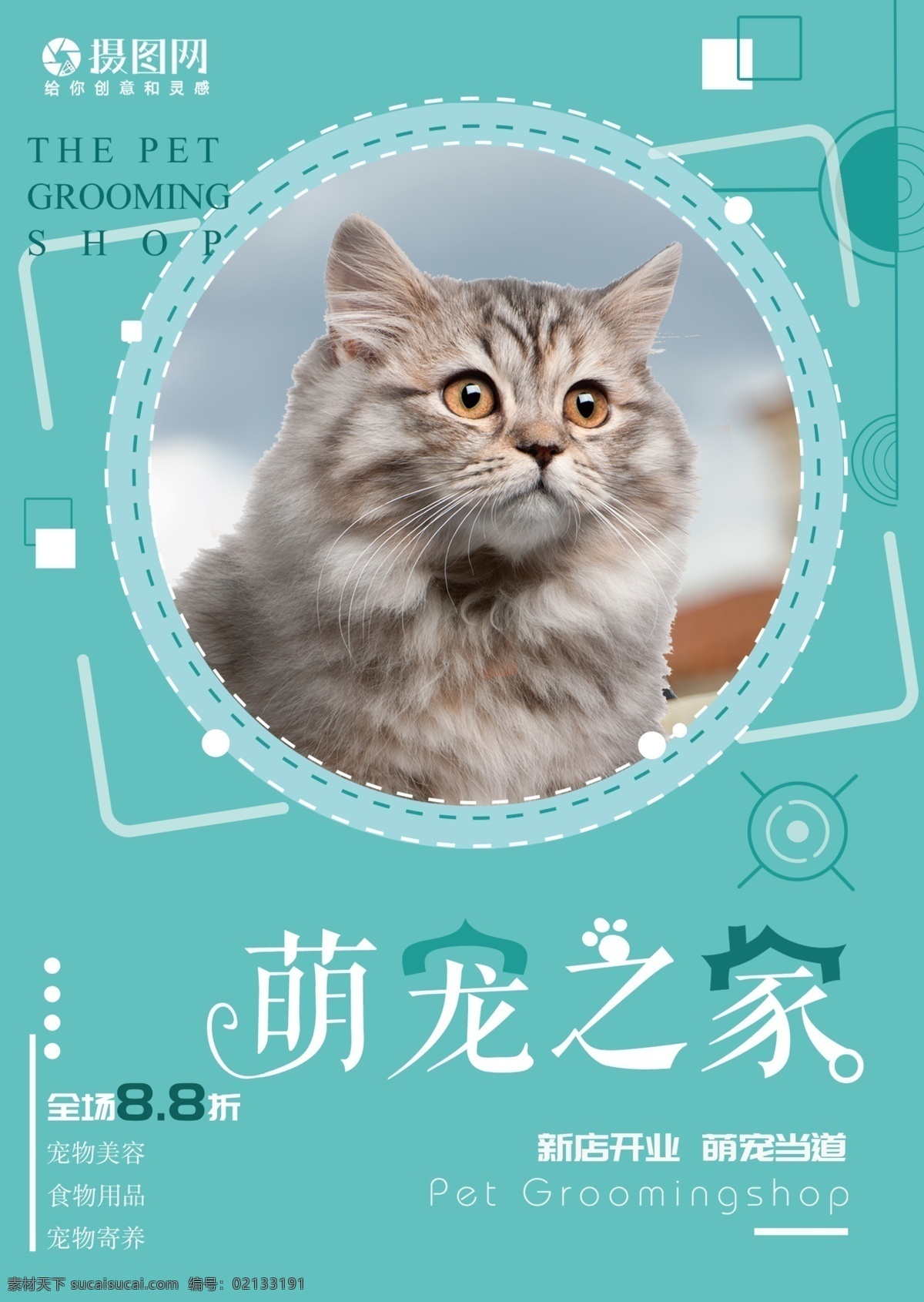 浅蓝色 简约 宠物 店 开业 卡 促销 宣传单 宠物店 办卡 猫咪 传单 dm单页
