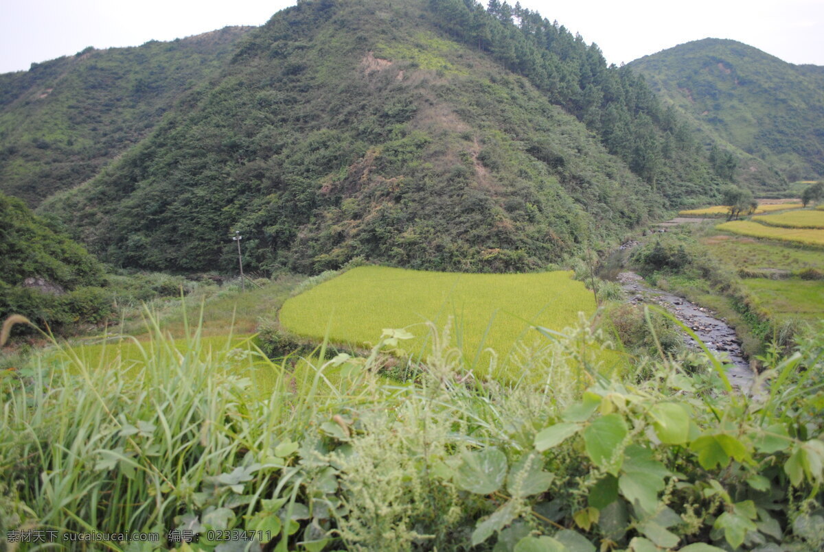 丘陵 秋天 天空 稻田 山 小溪 乡村 田园风光 自然景观