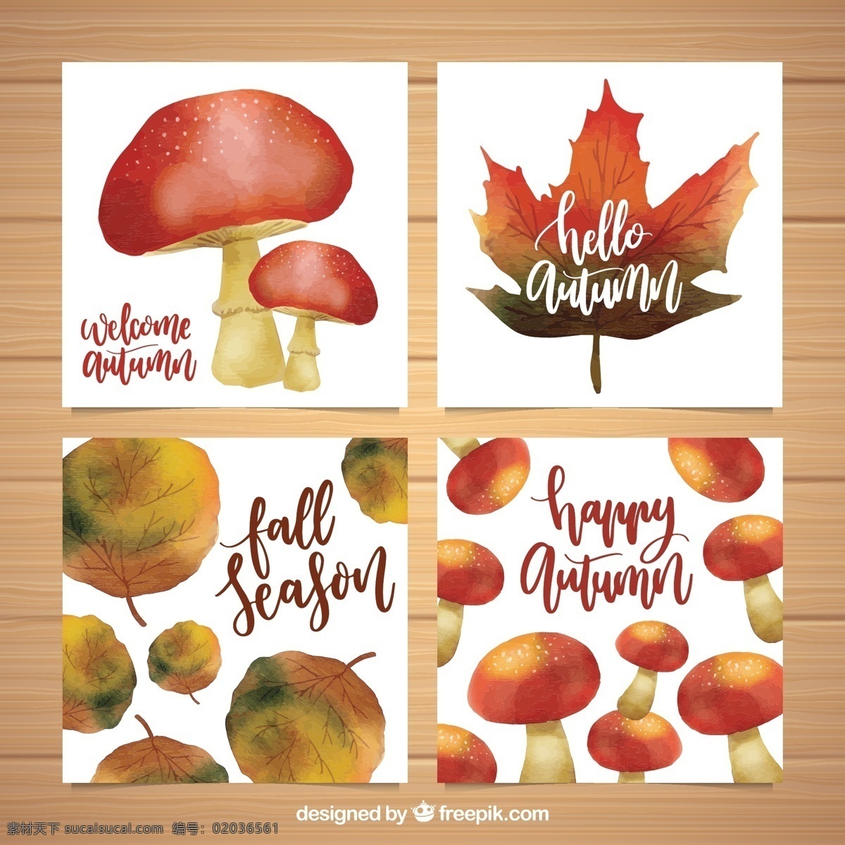 可爱 水彩 秋季 卡片 花卉 模板 树叶 自然 秋天 五颜六色 优雅 现代 树木 色彩 有趣 植物 印刷品