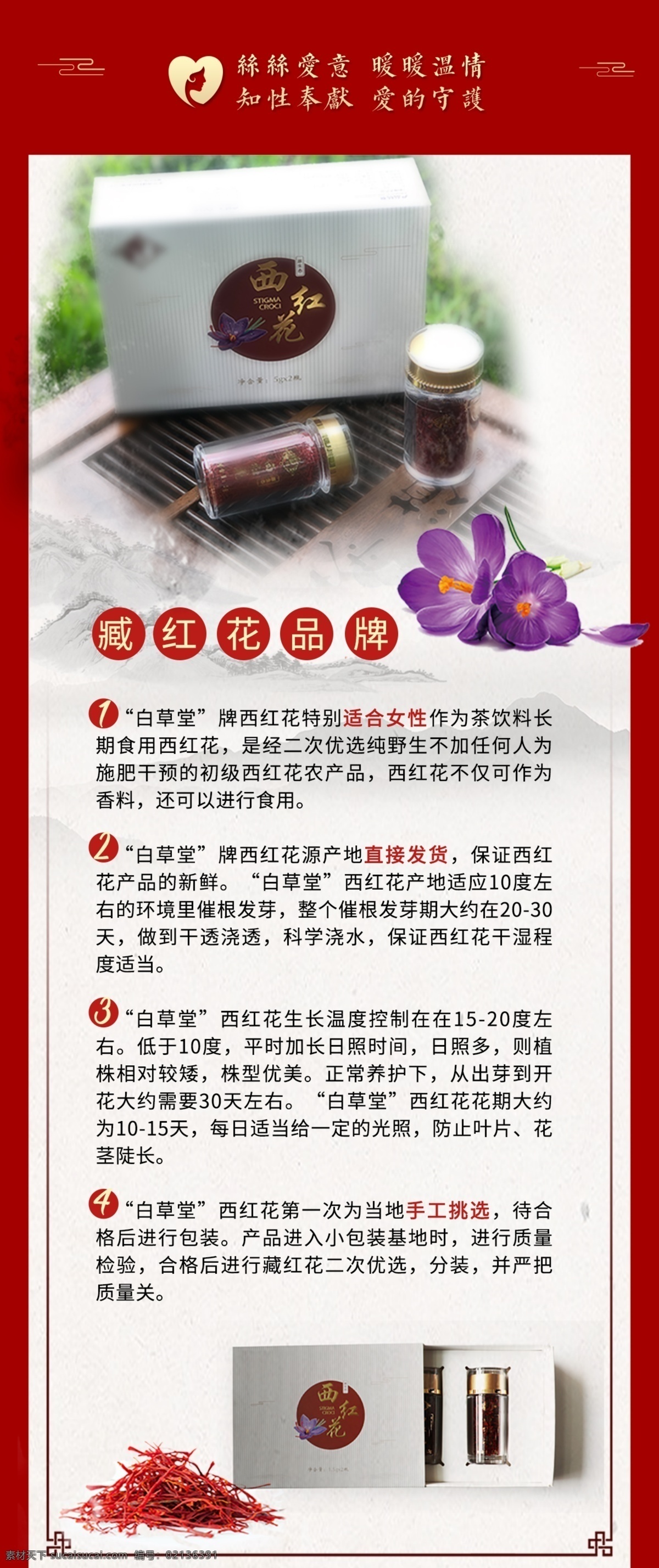 藏红花 产品 介绍 传统 中国风 西红花 番红花 产品介绍 分层