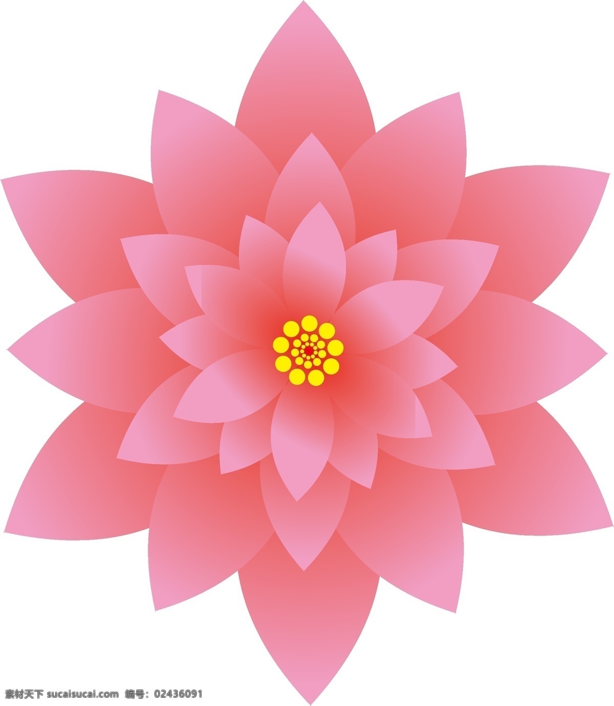 3d花 3d 立体 花 粉色 千层 3d设计
