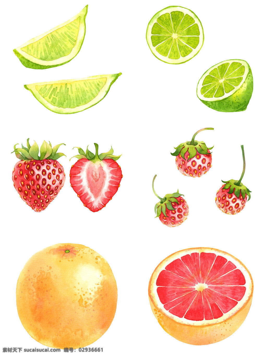 时尚 清新 水果 插画 草莓 桔子 柠檬 水彩绘