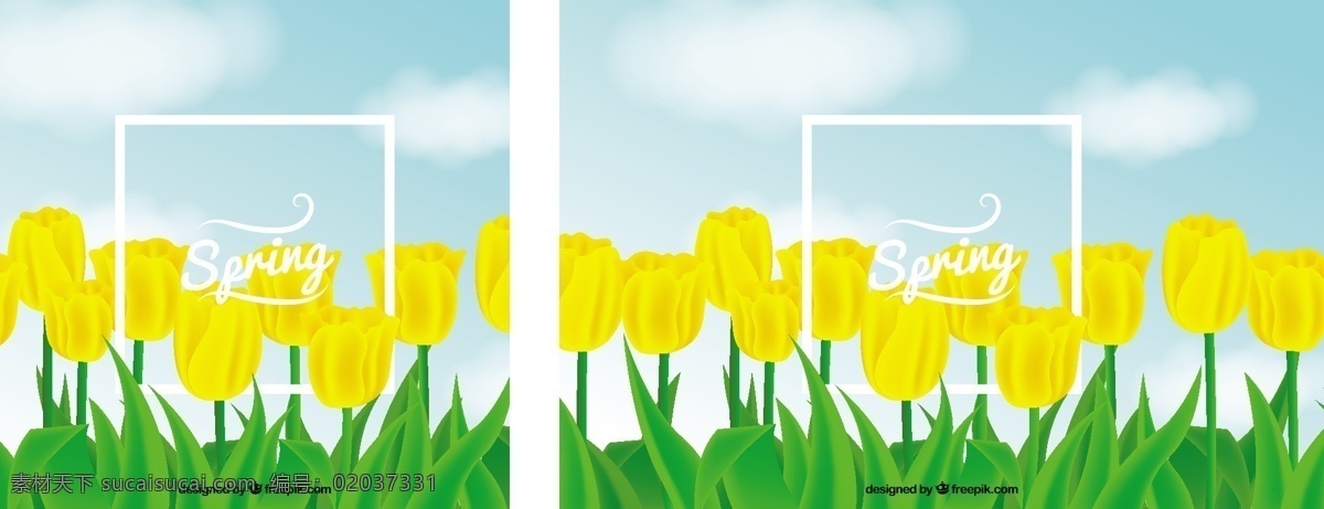 黄色 郁金香 美丽 背景 花卉 框架 自然 花卉背景 春天 花卉框架 植物 装饰 自然背景 开花