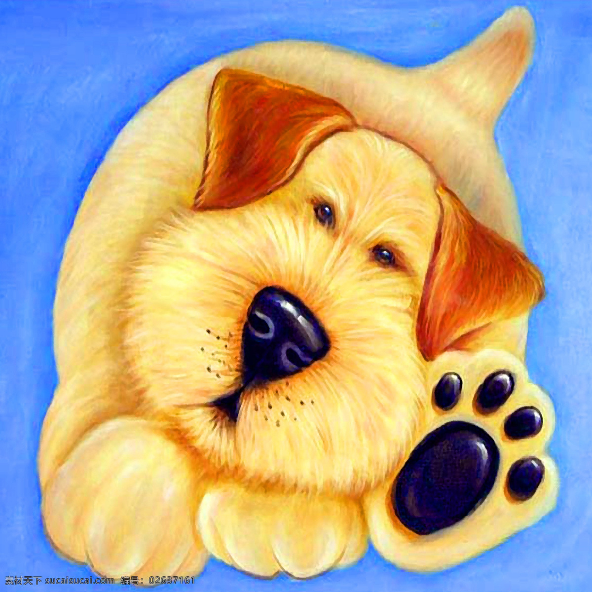 可爱 狗 壁画 宠物 狗狗 装饰素材 室内装饰用图