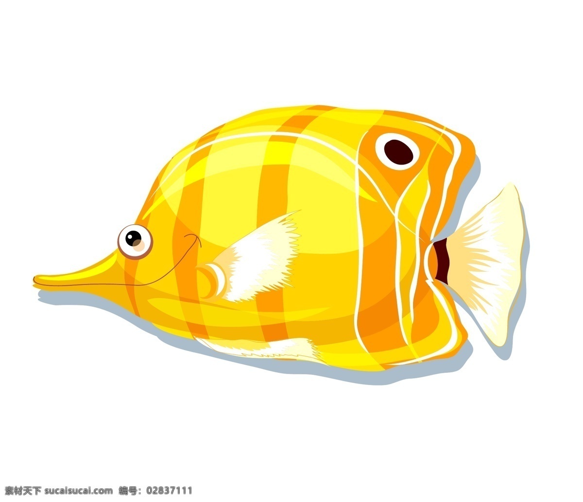 矢量金鱼 矢量观赏鱼 鱼缸鱼 养鱼 金黄的鱼 漂亮鱼插画 卡通金鱼 手绘金鱼 鱼侧面 矢量彩色金鱼 动物 生物世界 鱼类