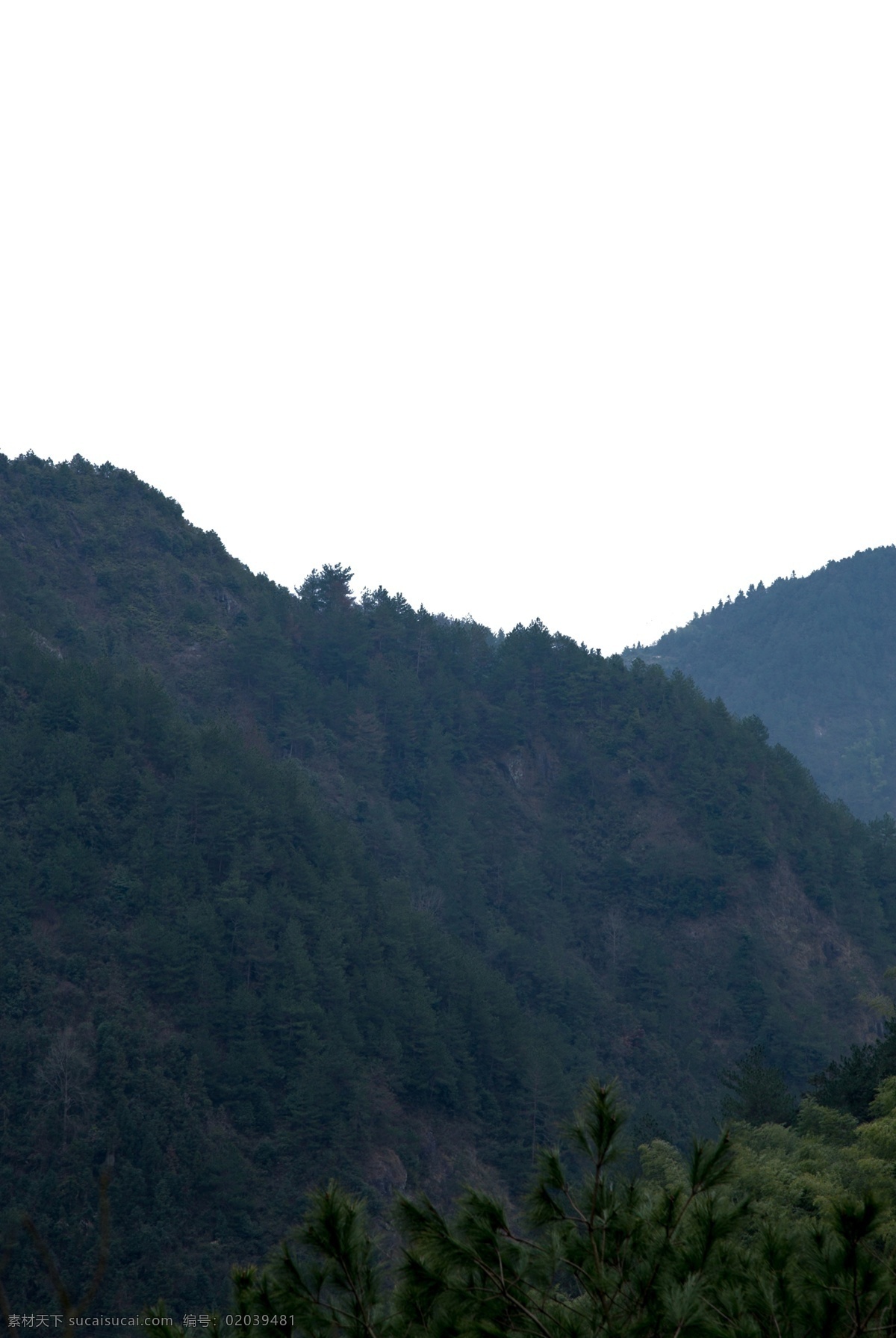 绵延 起伏 险峻 山峰 大山 群山连绵 山岩 山谷 峭壁 彩色岩石 森林 绿树 黄花 自然风光 山水风景 自然景观