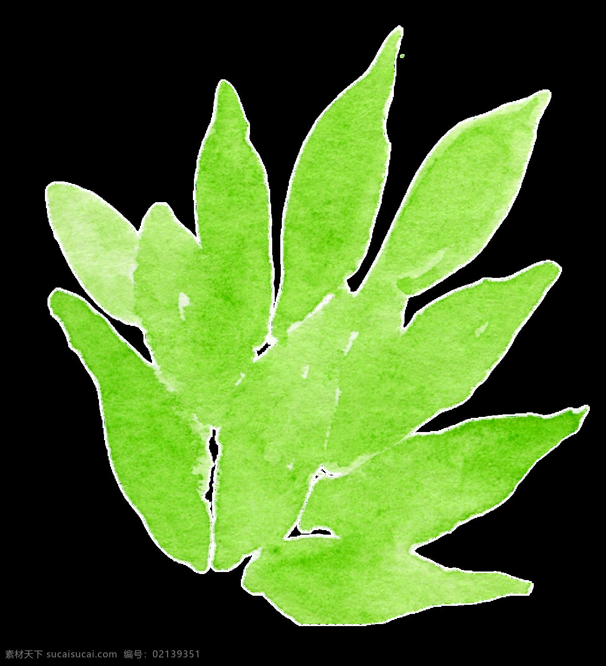 茂密 树叶 透明 装饰 海报设计装饰 卡通 免扣 设计素材 水彩 淘宝素材 透明素材 装饰图案