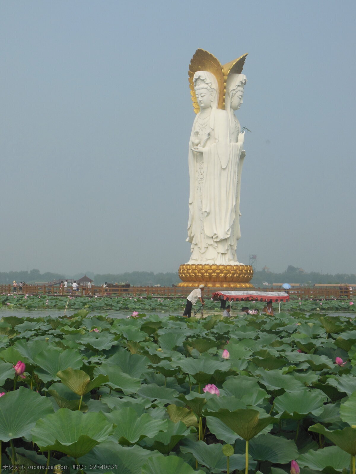 白洋淀风景 荷花大观园 荷花 荷叶 荷塘 观音像 白洋淀旅游 风景图 旅游摄影 国内旅游