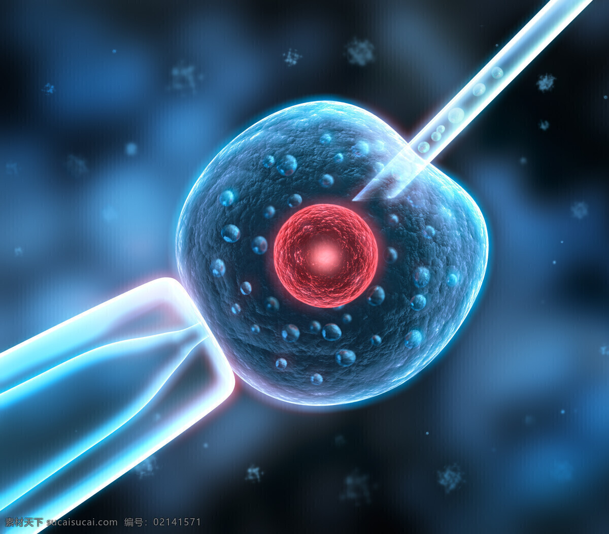 生物实验 针管 细胞 实验 生物科学 医疗护理 现代科技 黑色