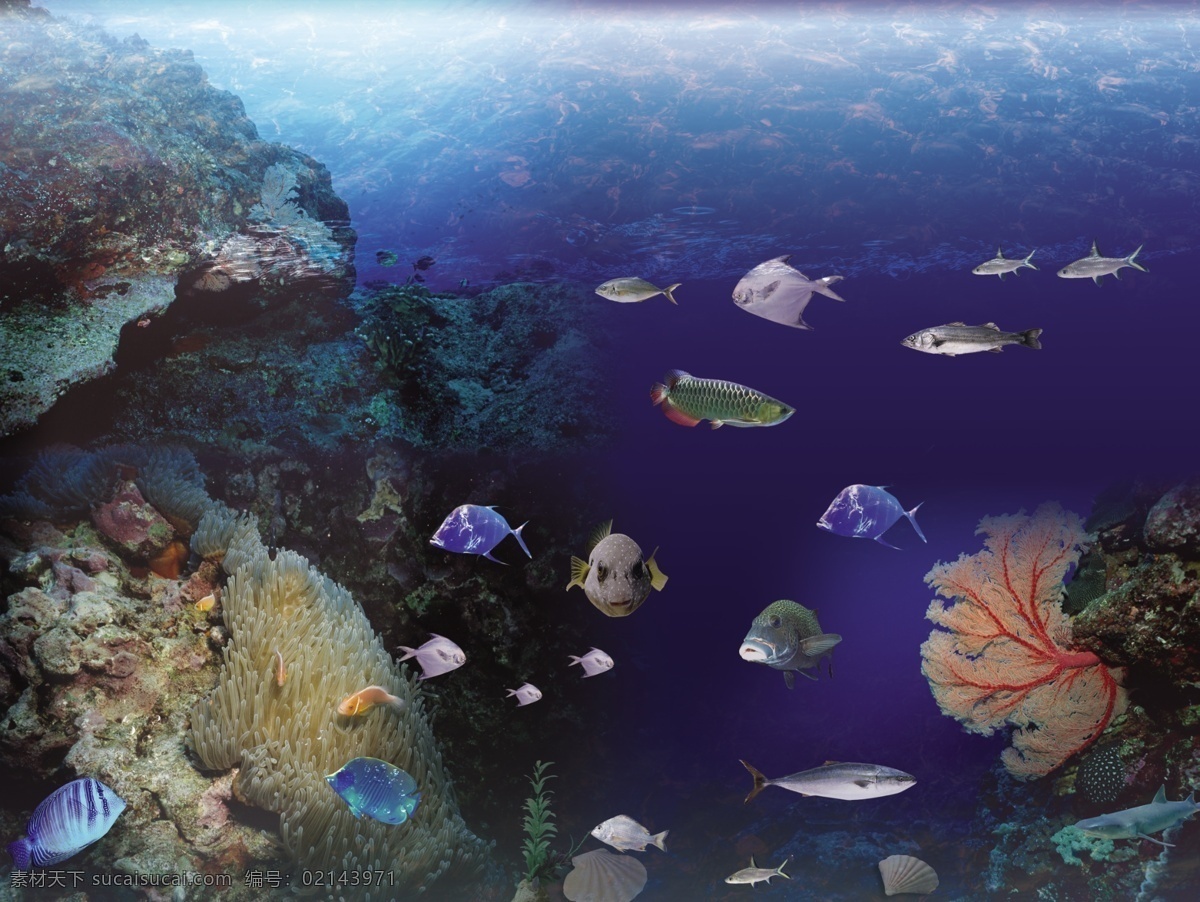 深海鱼 海底世界 珊蝴焦 海鱼 深海大世界 鱼 活鱼 分层 源文件