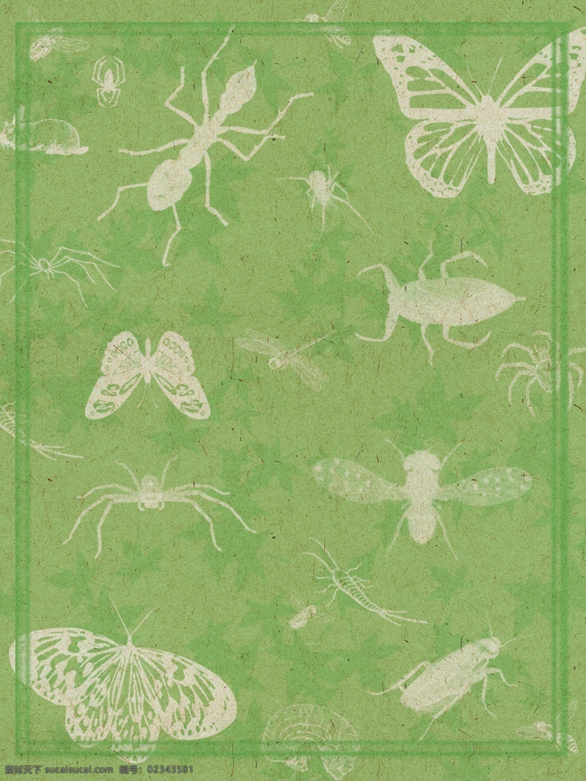 绿色 复古 昆虫 背景 绿色背景 边框背景 蝴蝶 蜘蛛 蚂蚁 昆虫背景 复古纹理
