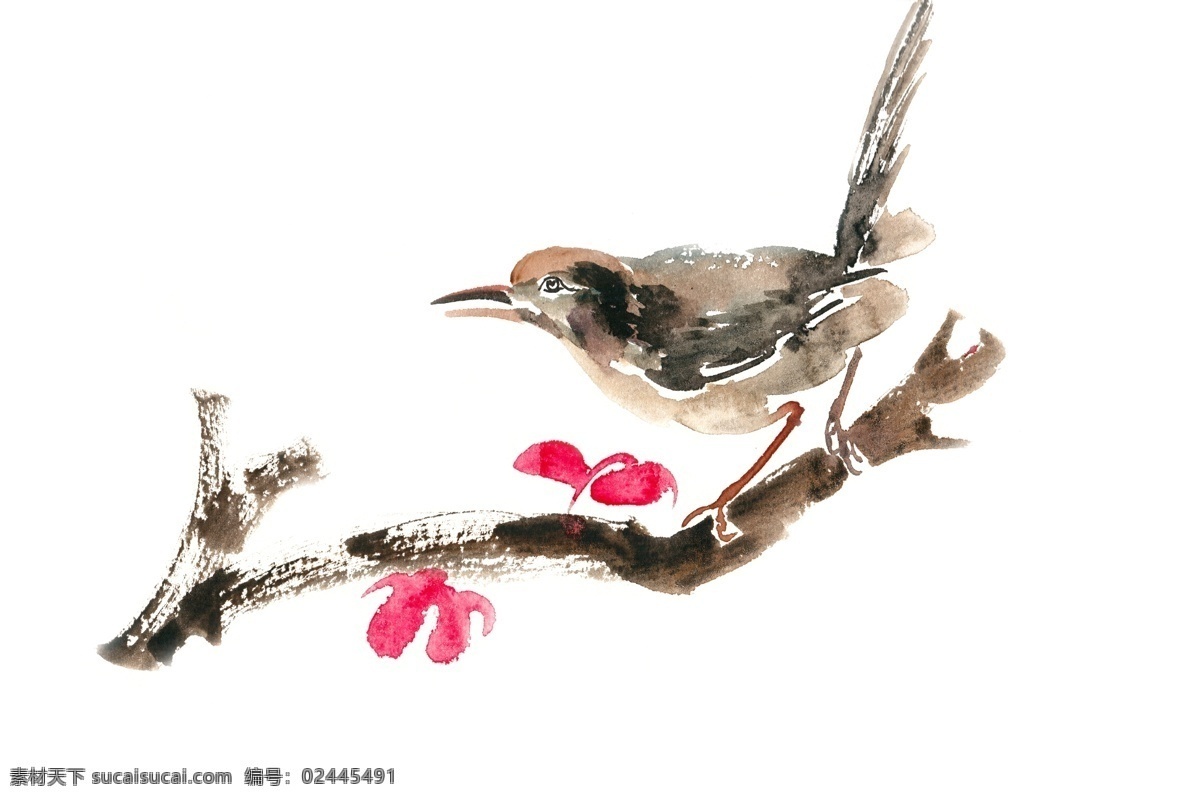 树枝 上 小鸟 水彩画 免 抠 植物 意境 绘画 简约 水彩 透明 手绘 枝头 张望 寻觅 写意 免抠 亮丽 清幽 逼真 写实