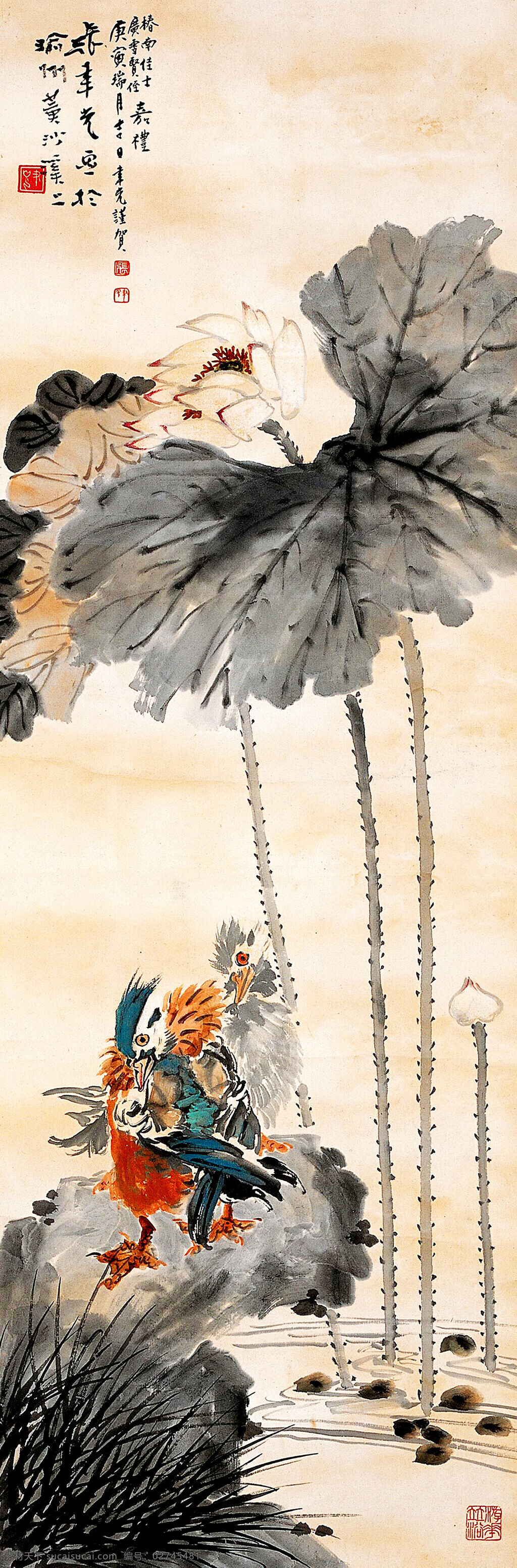 夏日情 美术 中国画 彩墨画 花鸟画 荷花 鸳鸯 水草 荷塘 国画艺术 国画集65 绘画书法 文化艺术