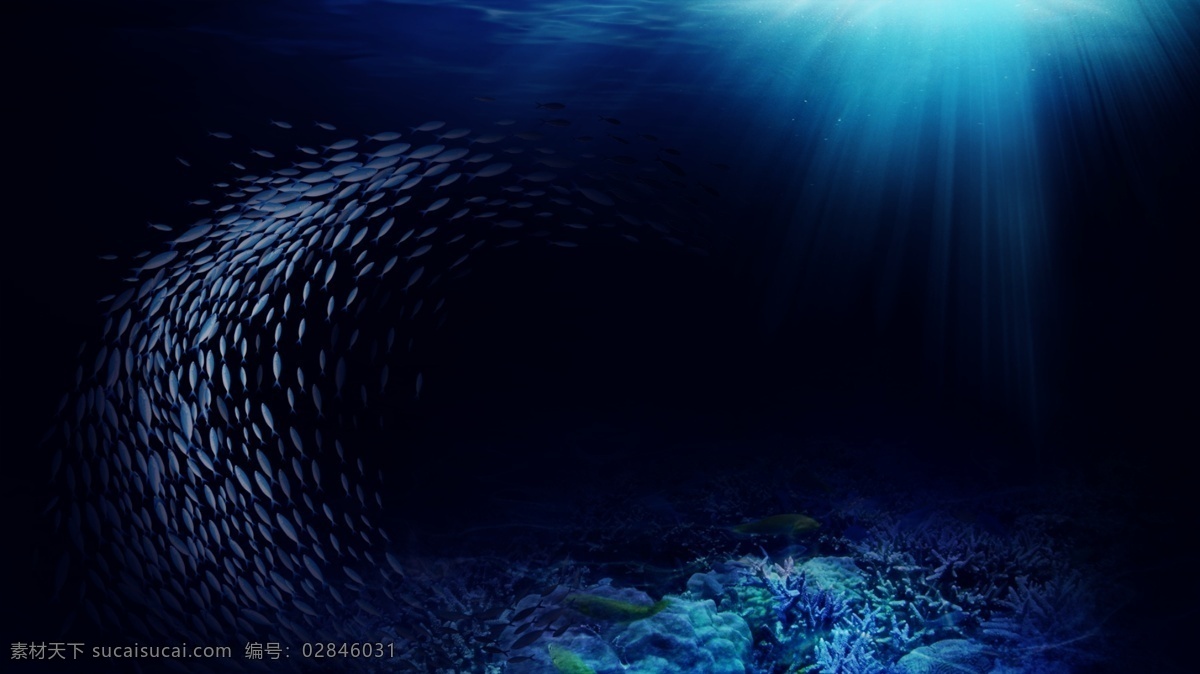 鱼群 深海鱼群 海底 海鱼 动物 脊椎动物 大海 鱼类 生物世界 海洋生物 海洋鱼类 深海 科技海报 科技展板 科技公司素材