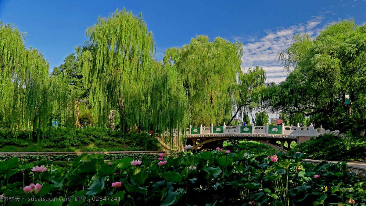 北京 紫竹院 公园 风景