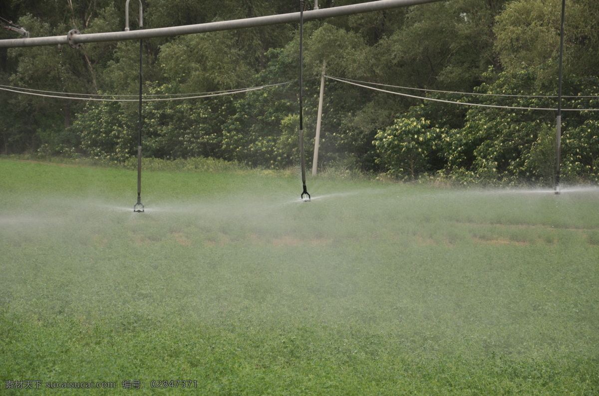 喷灌机 节水 农田 农业 喷头 现代科技 喷灌 灌溉 浇地 农业生产 矢量图 日常生活