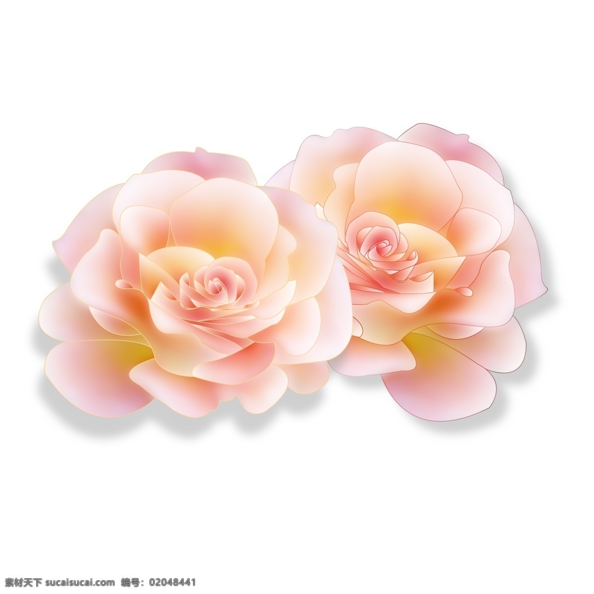 粉红色 两 朵 小花 插画 高贵 送女友 装饰 艺术 美丽 可爱 春天 香味扑鼻 春暖花开