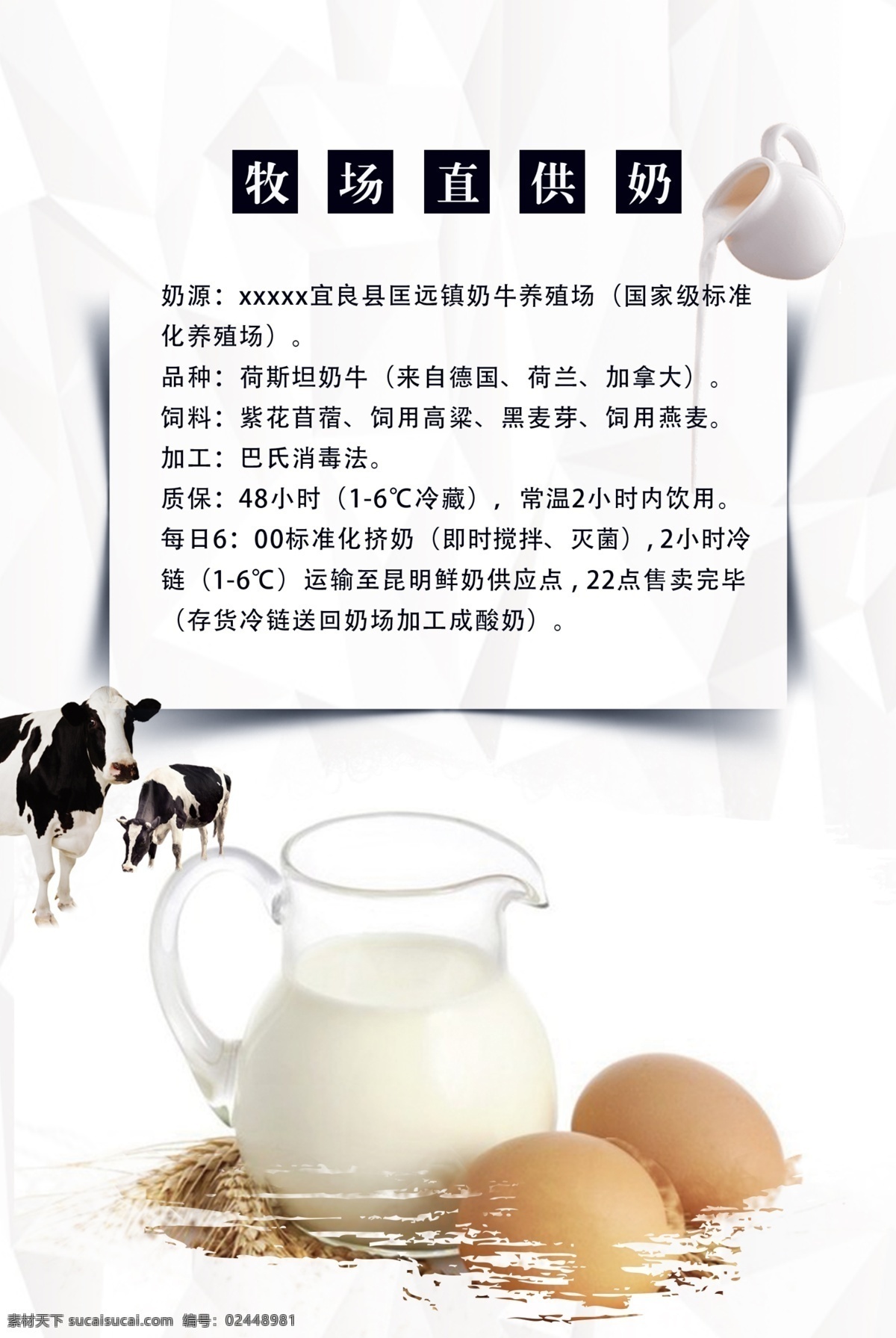 牛奶 牧场 宣传单 海报 单图 鸡蛋 奶牛 宣传页 正反面