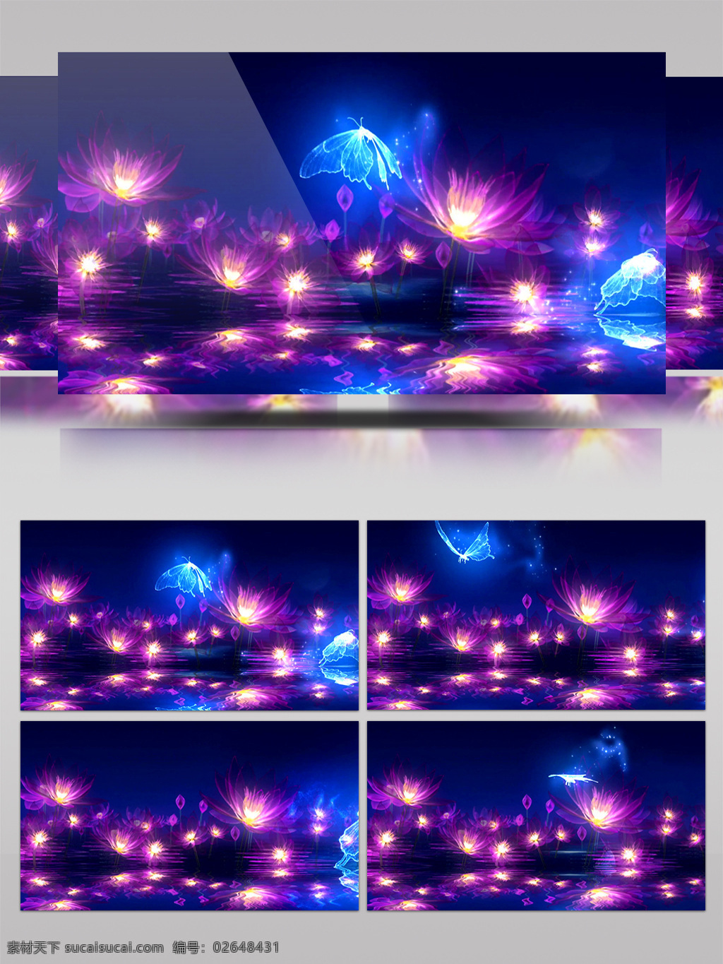 蓝紫 花束 视频 晚会 高清视频素材 视频素材 动态视频素材