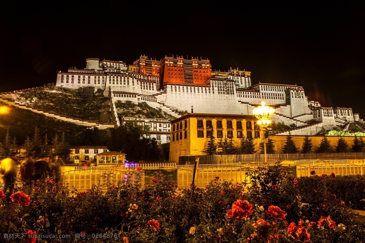 布达拉宫夜景 布达拉宫 拉萨 西藏 拉萨夜景 旅游摄影 人文景观 黑色