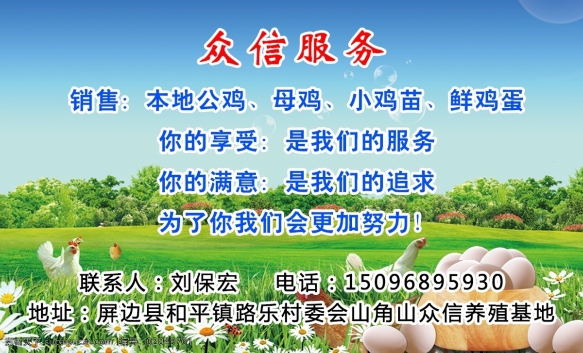 养殖 鸡 基地 鸡蛋 土鸡蛋 土鸡 名片卡片