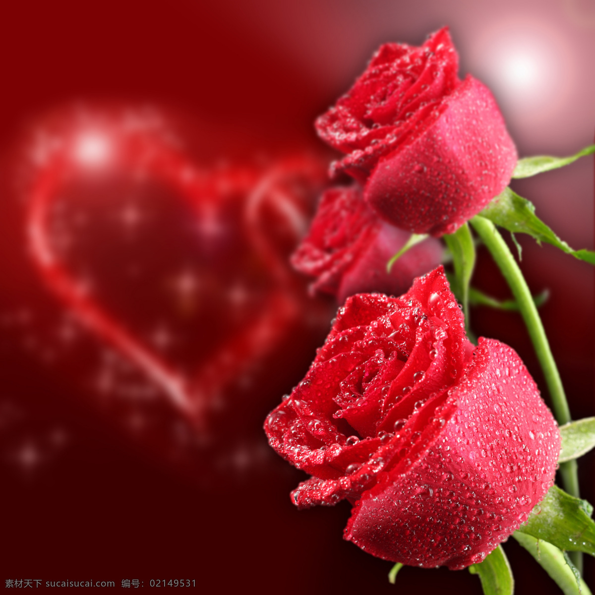 玫瑰 玫瑰花 鲜花 红玫瑰 花朵 爱心 心形 心型 桃心 情人节 情人节玫瑰 节日庆祝 文化艺术
