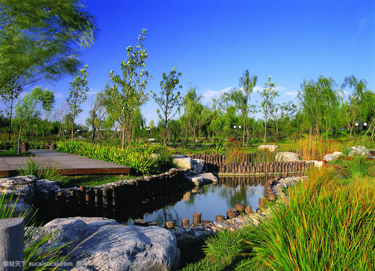 树免费下载 风景 绿色 山水风景 摄影图 树 植物 自然景观 水 家居装饰素材 山水风景画