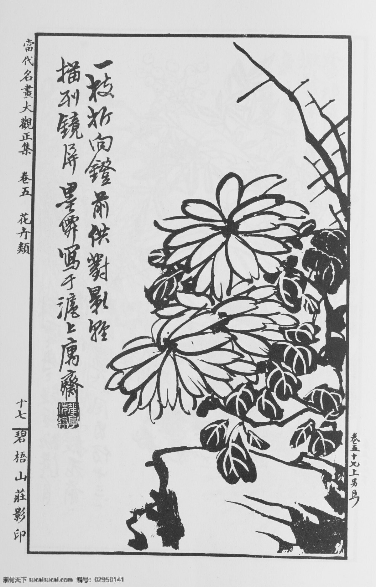 花卉画 中国画 当代 名画 大观 正 集 设计素材 花鸟画篇 中国画篇 书画美术 白色