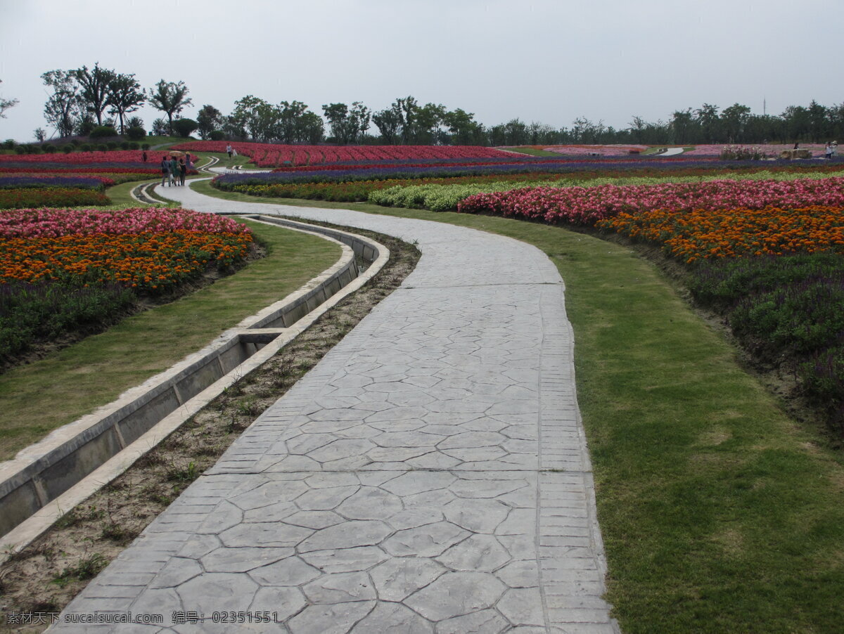 周浦花海 旅游景点 鲜花 怒放的花海 植物 园艺景观 压花地坪 艺术压模地坪 彩色地坪 旅游摄影 国内旅游