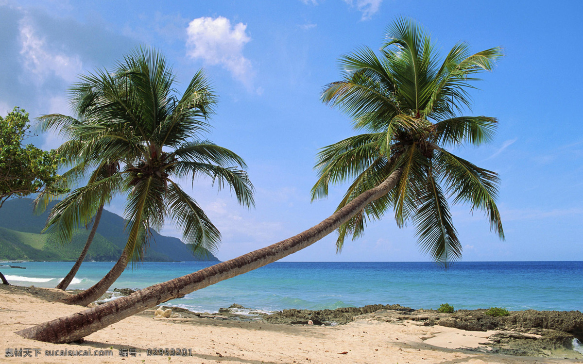 白云 大海 度假 海景 海南 海滩 景观设计 蓝天 椰子树 自然风景拍摄 植物 沙滩 水面 水景 山脉 景观拍摄 旅游 三亚 排版底纹 休闲 自然风景 自然景观 psd源文件