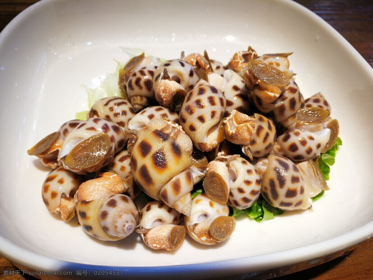 花螺 美味 鲜活 海产 螺 鲜活海鲜 餐饮美食 食物原料