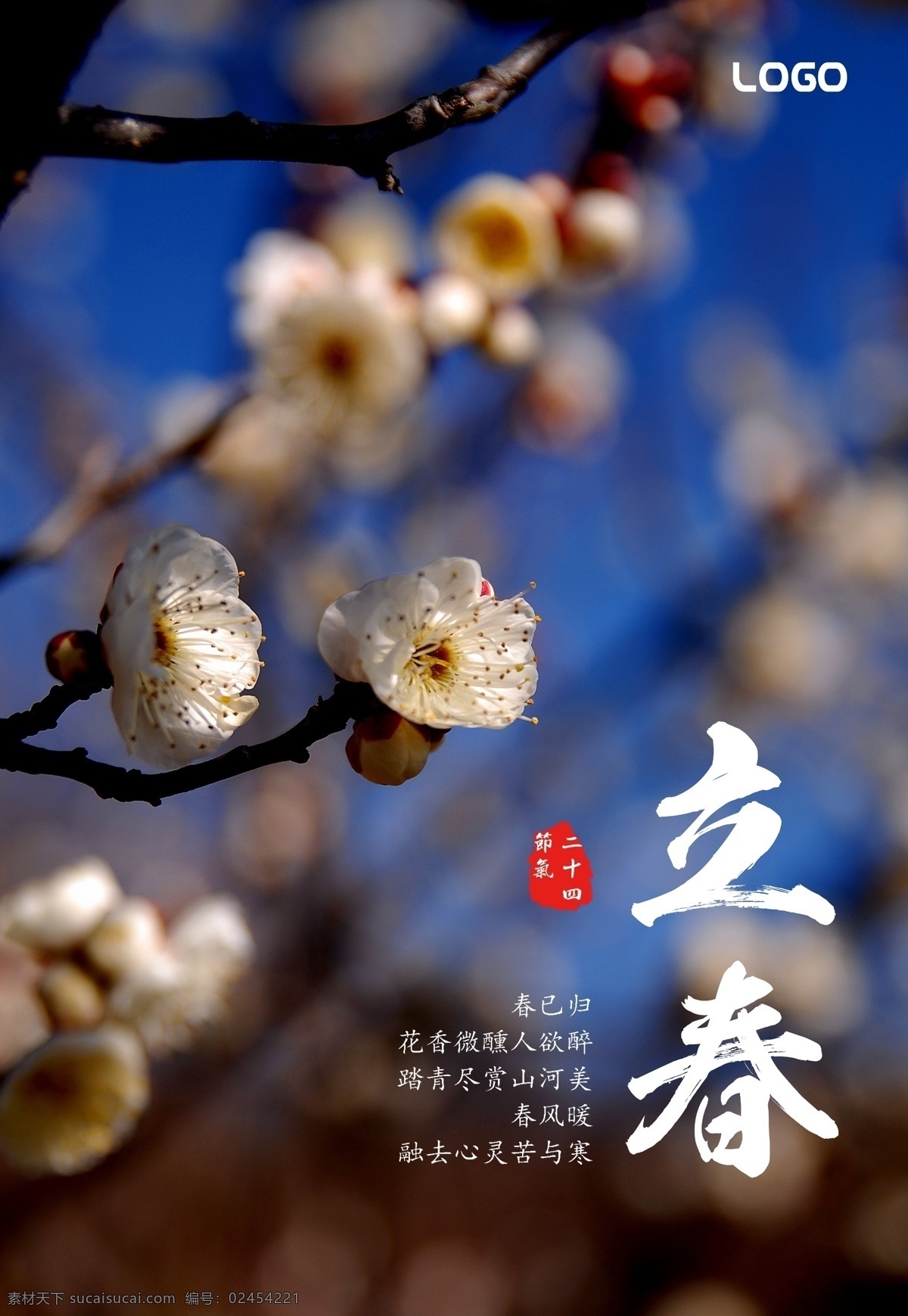 美丽 花卉 立春 节气 海报 模板 春季节气 二十四节气 节气海报 立春24节气 立春广告 立春节气海报 中国传统节气