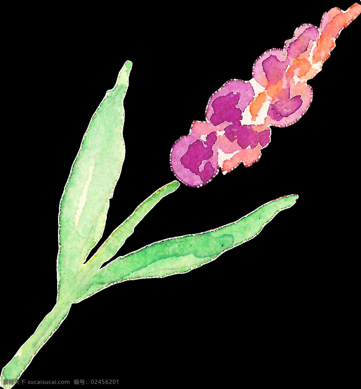 绘画 花卉 植物 卡通 透明 装饰 抠图专用 设计素材
