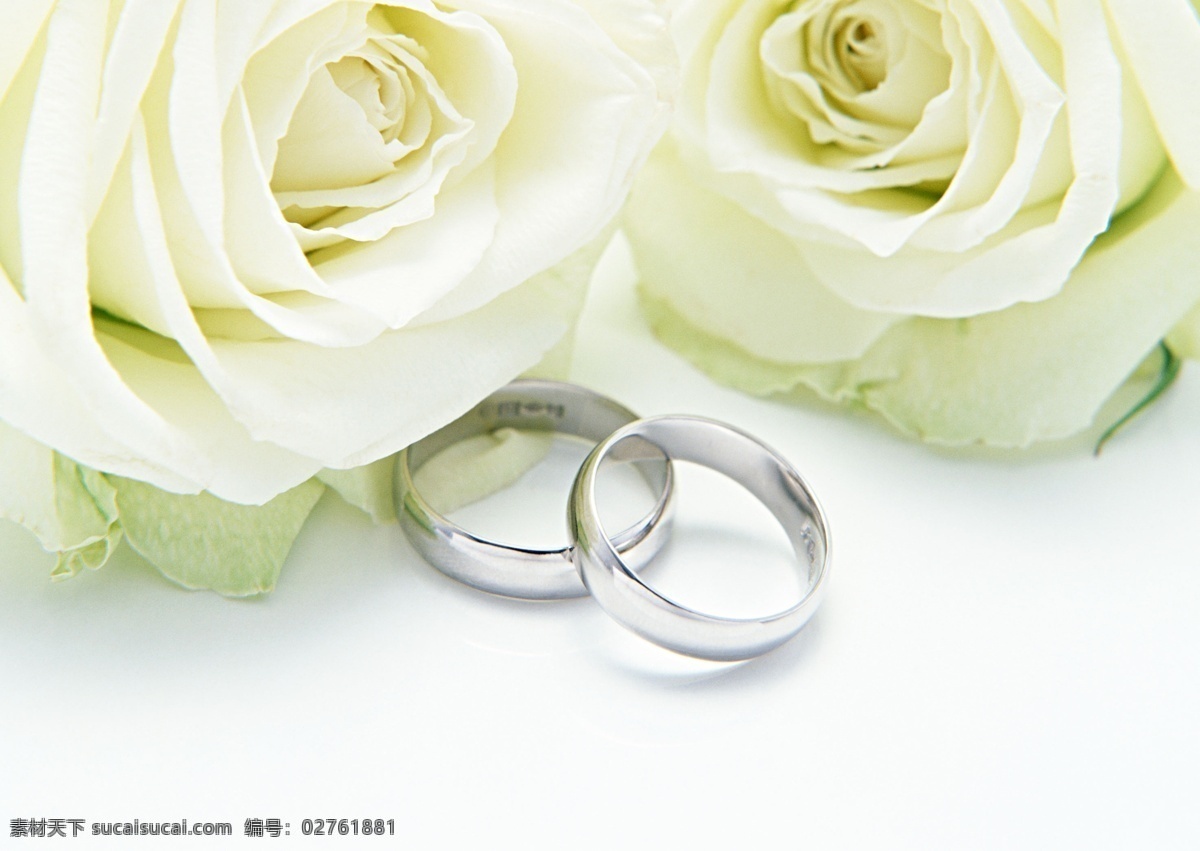 婚庆 白玫瑰 婚庆素材 结婚用品 戒指 喜庆结婚 风景 生活 旅游餐饮