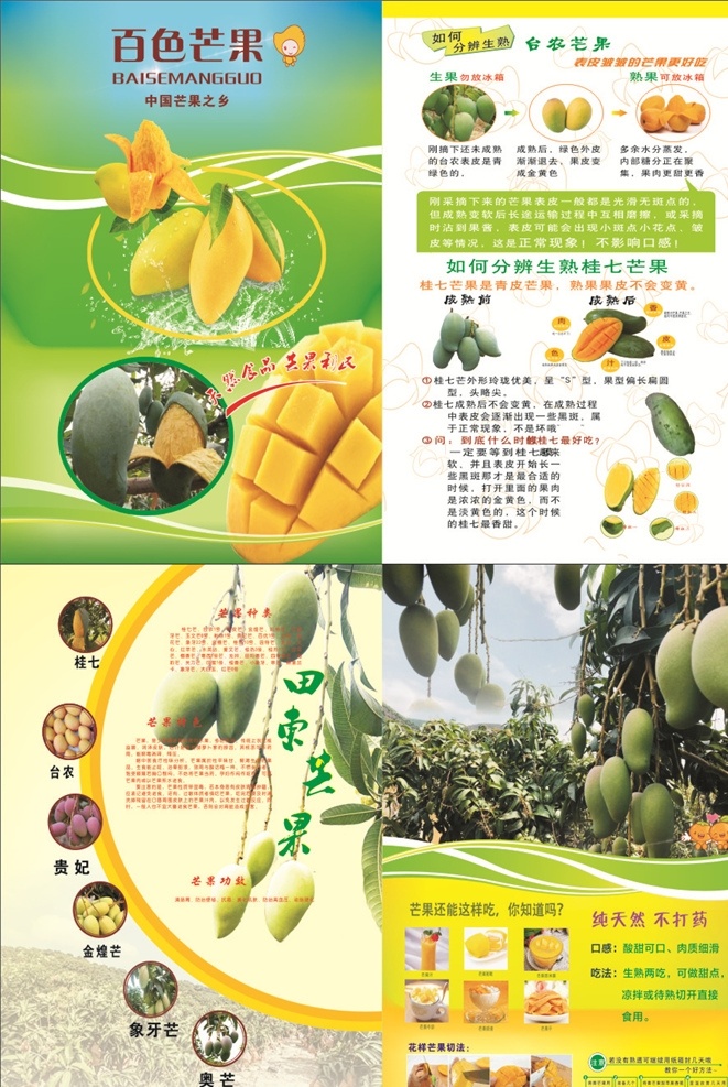 芒果宣传单 台农 桂七 芒果 水果 宣传单 芒果之乡 田东特产