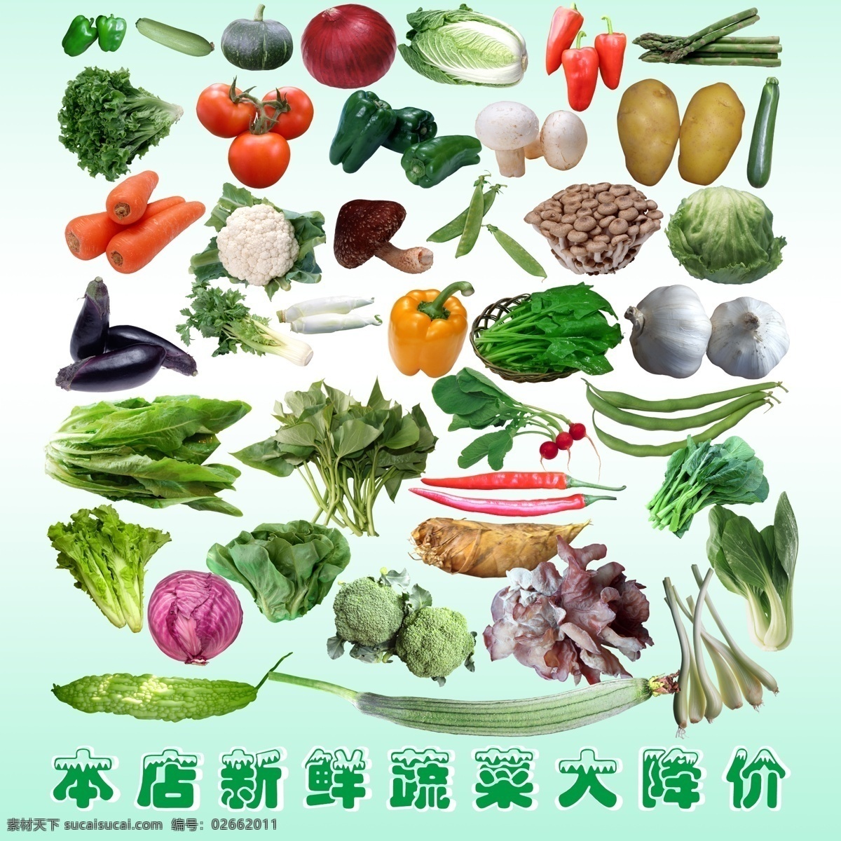 蔬菜大全 黄瓜 西红柿 生菜 红萝卜 丝瓜 紫菜 茄子 土豆 磨菇 芹菜 油菜 波菜等 蔬菜大降价 分层 源文件