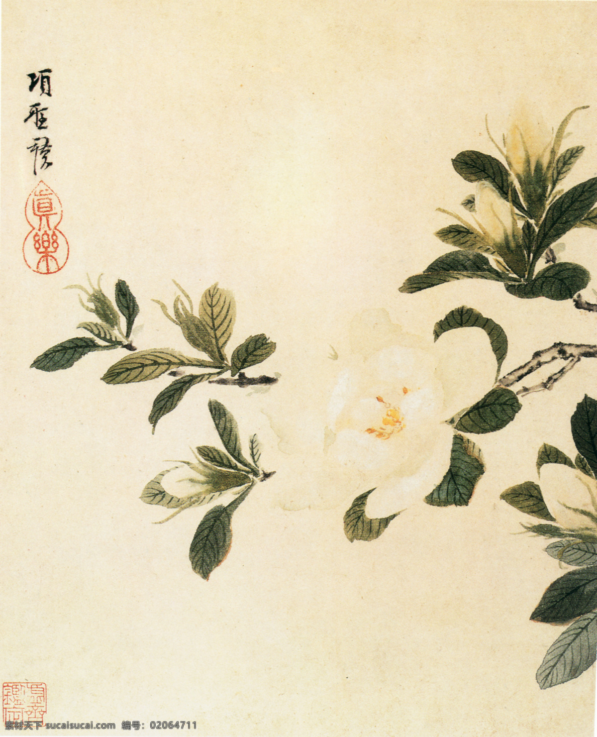 花卉图b 花鸟画 中国 古画 中国古画 设计素材 花鸟名画 古典藏画 书画美术 白色