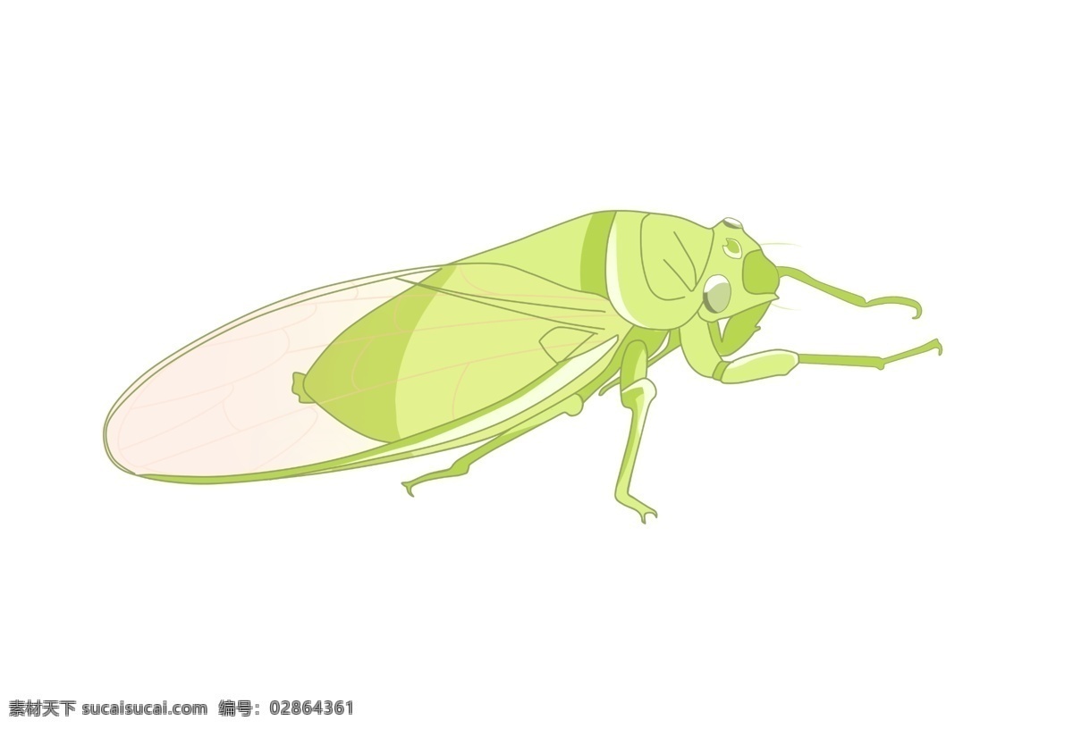 黄绿色昆虫蝉 昆虫 夏季 黄色