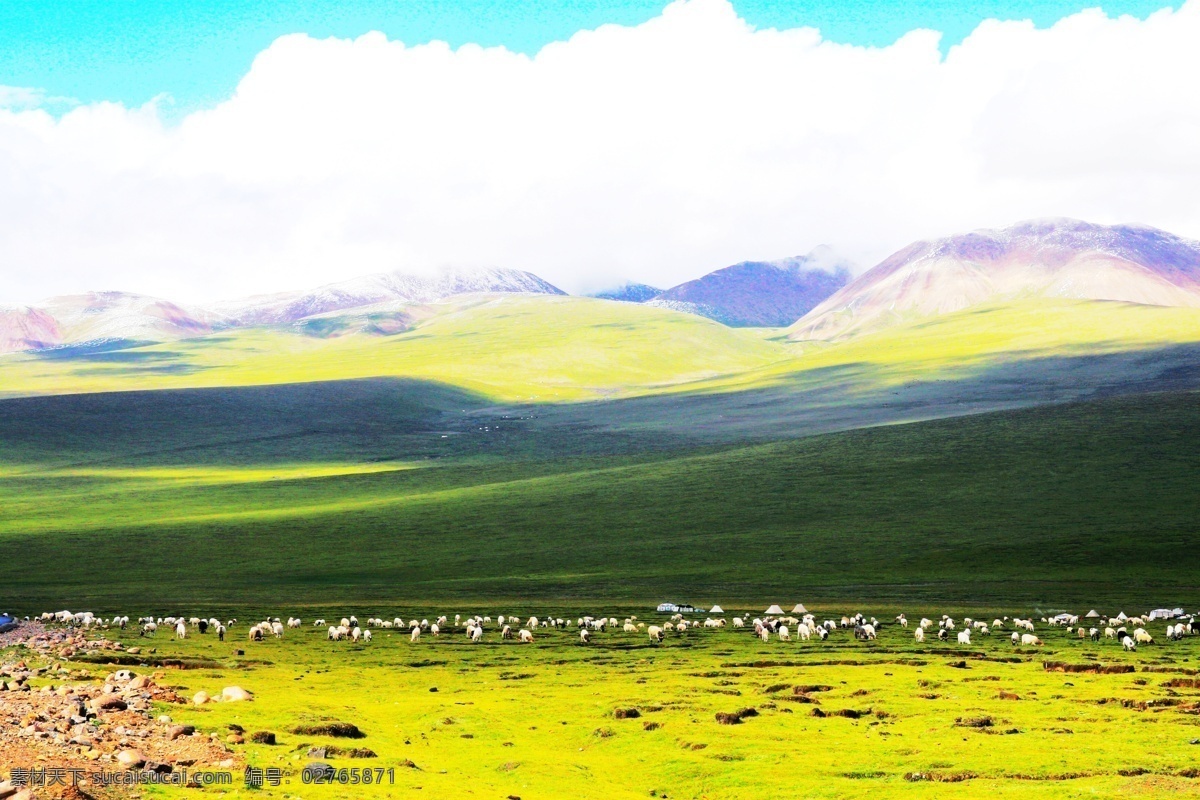玉树风景 青海 玉树 藏族自治州 蓝天 白云 草场 山脉 自然环境 羊群 风景 青海风光 国内旅游 旅游摄影