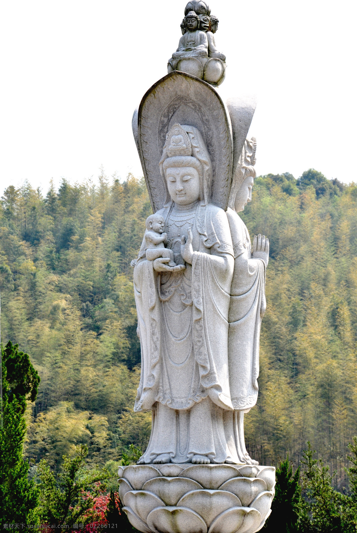 观音 风景 风景名胜 佛教 莲花 菩萨 文化艺术 竹林 竹子 宗教 禅宗 宗教信仰