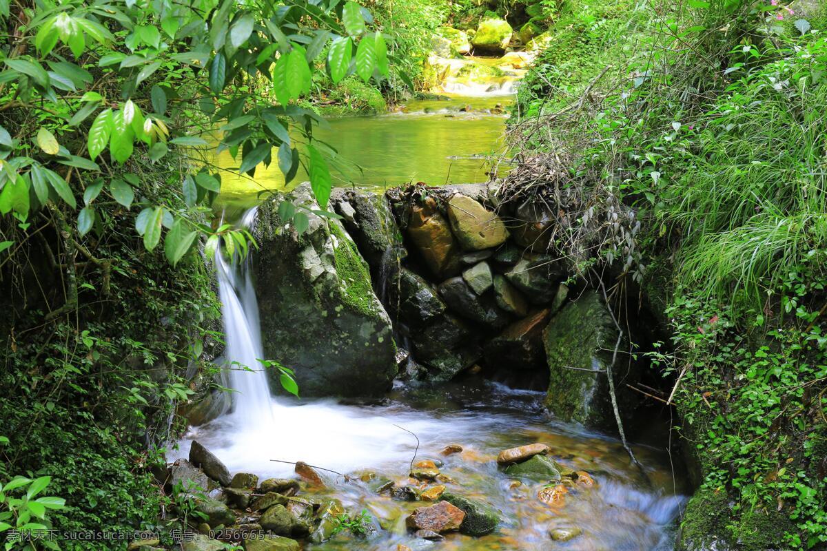 千岛湖 千岛 瀑布 森林 桥 水 绿色 夏天 海苔 石头 树 野山 旅游摄影 国内旅游