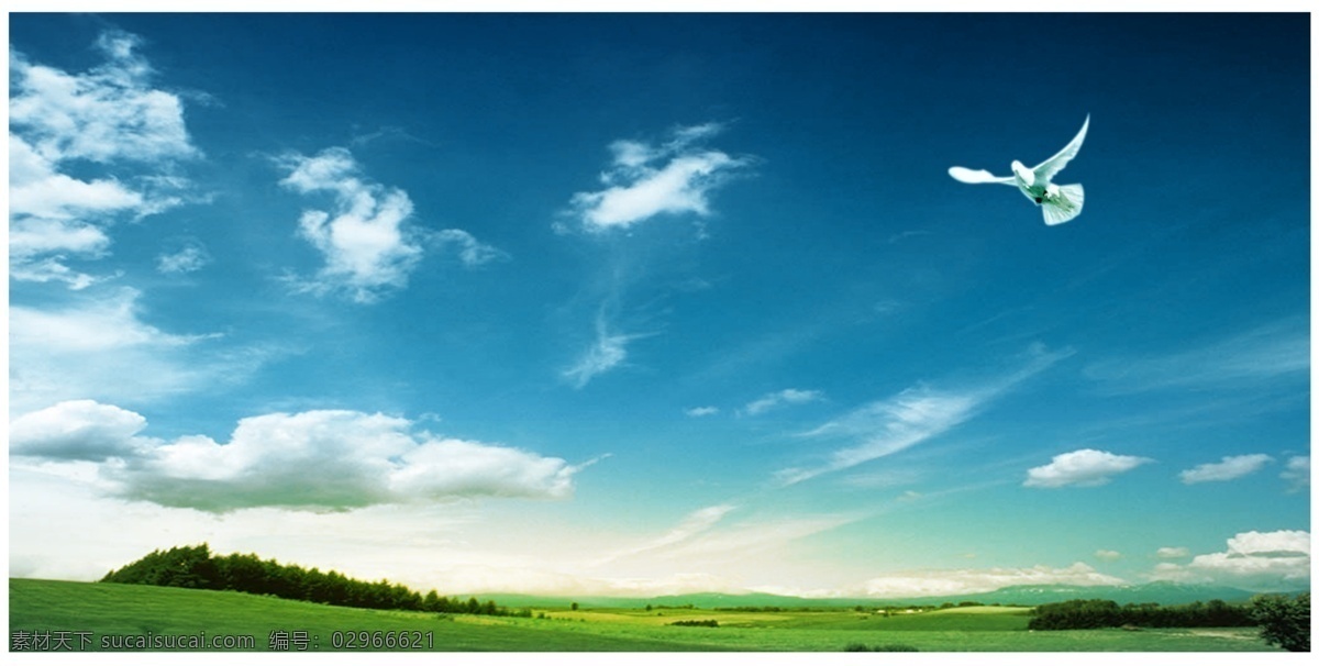 蓝天 白云 梦想 展板 分层 背景 草地 草原 蓝天白云 风景 自然风景 白色