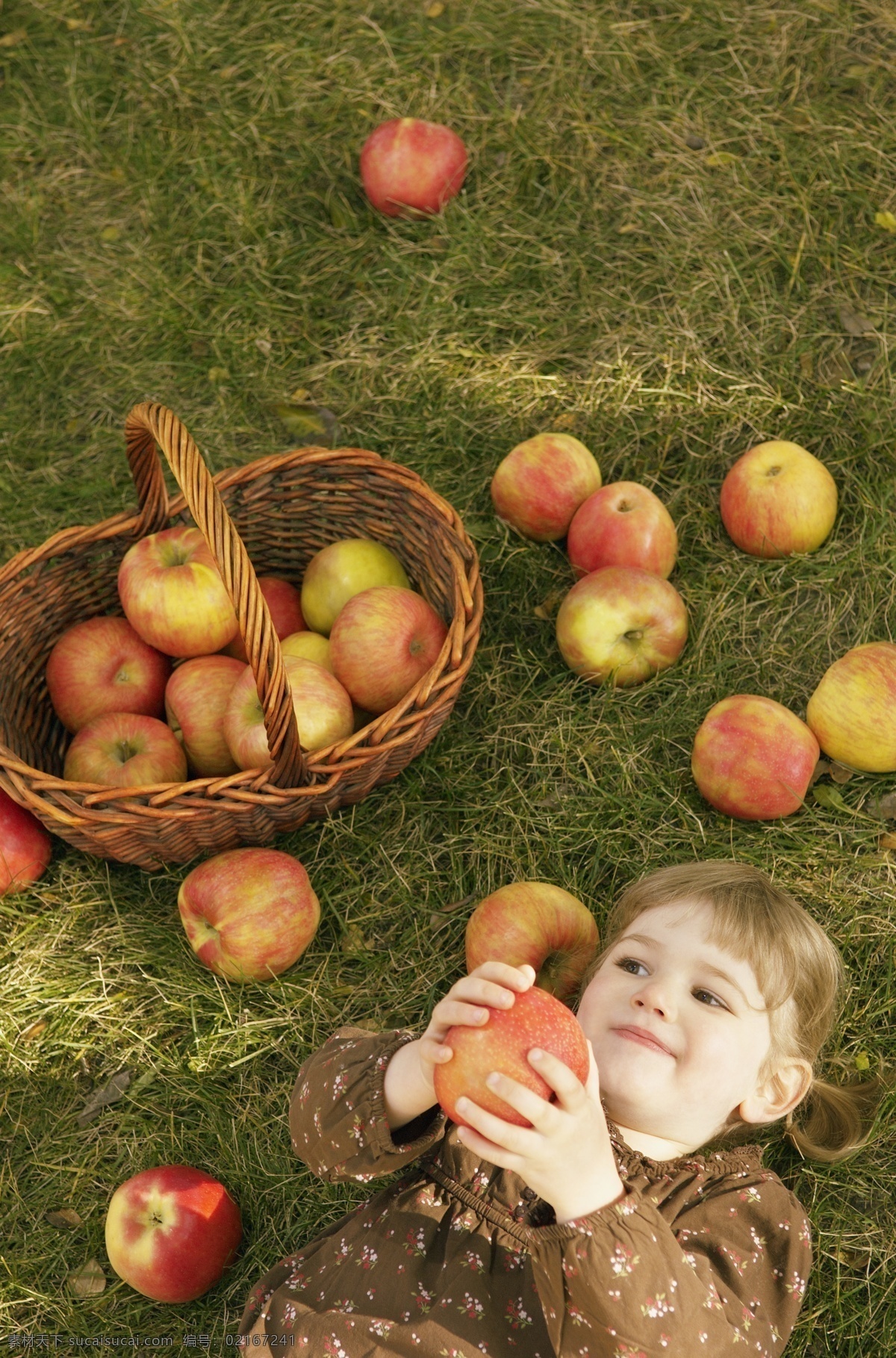 苹果 小女孩 苹果摄影 水果 女孩 儿童 篮子 人物 人物摄影 人物素材 职业人物 生活人物 人物图片